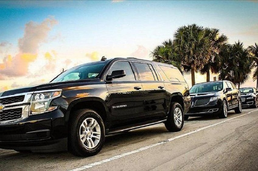 Ein schwarzer SUV auf einer Straße, im Hintergrund Palmen. 4