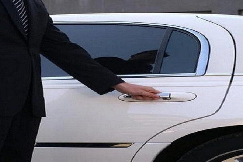 Eine Person öffnet eine Autotür. 5