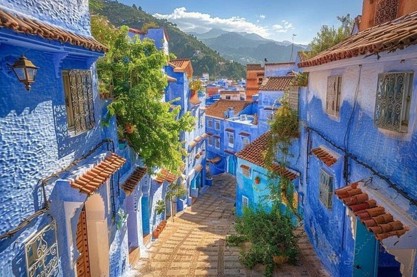 Chefchaouen & Tetouan Day Trip from Tangier 2