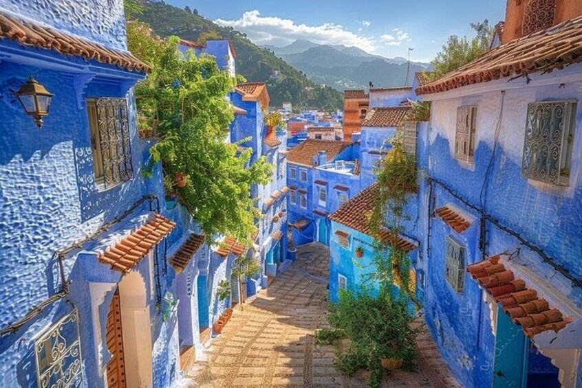 Chefchaouen & Tetouan Day Trip from Tangier 2
