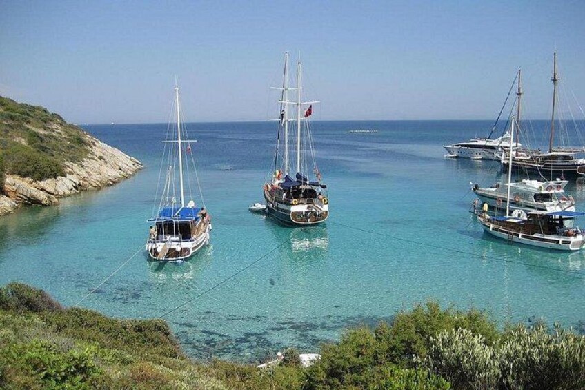 daily private boat tour 1