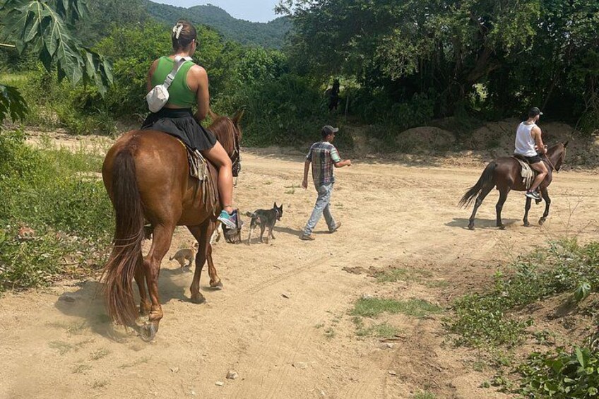 Horse back riding with Danitours by Montainand real nice view 2