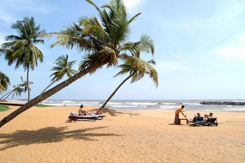 A beach with palm trees, people relaxing on chairs, and a boat on the sand. 1