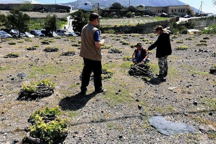 A rocky terrain with sparse vegetation, a few people, and a distant building. 1