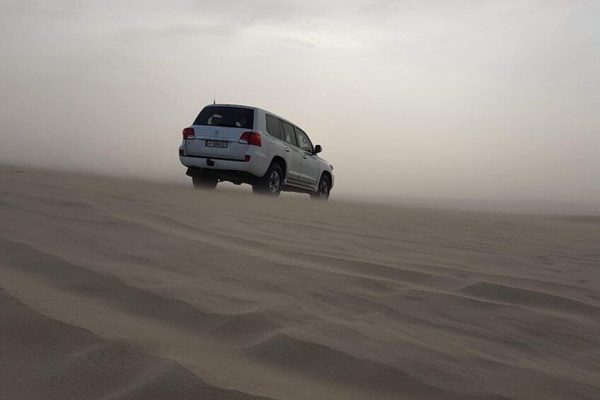 Half Day Desert Safari || Sand Boarding || Camel Ride || Inland Sea Visit || 4