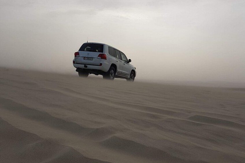 Half Day Desert Safari || Sand Boarding || Camel Ride || Inland Sea Visit || 3