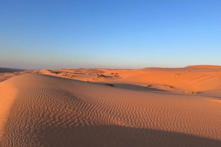 Et ørkenlandskab med sanddyner under en klar himmel. 5