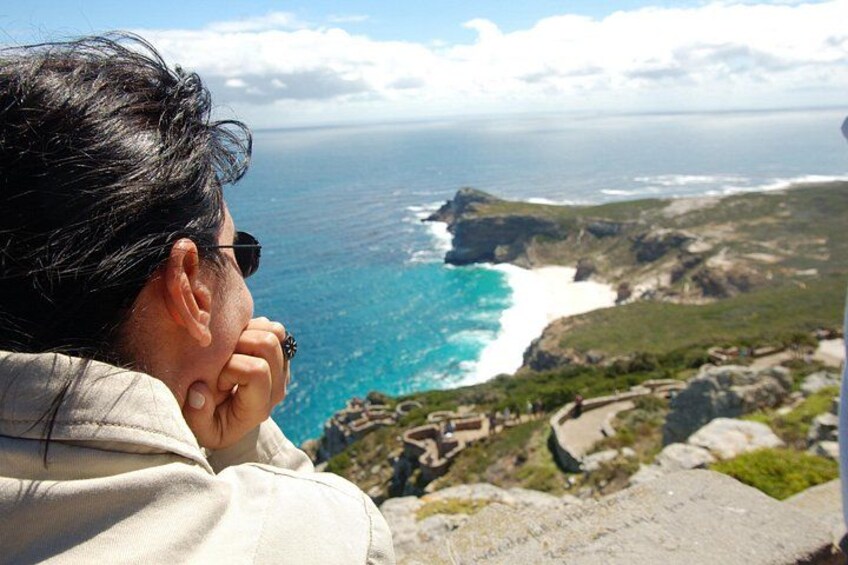 A person overlooking a coastal landscape with cliffs and a view of the ocean. 5