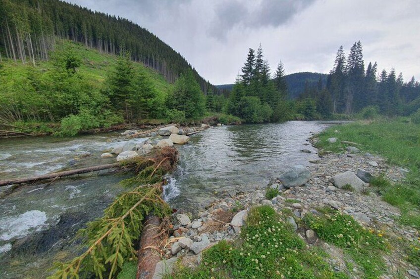 A river flowing through a forested valley with rocks and fallen trees. 2