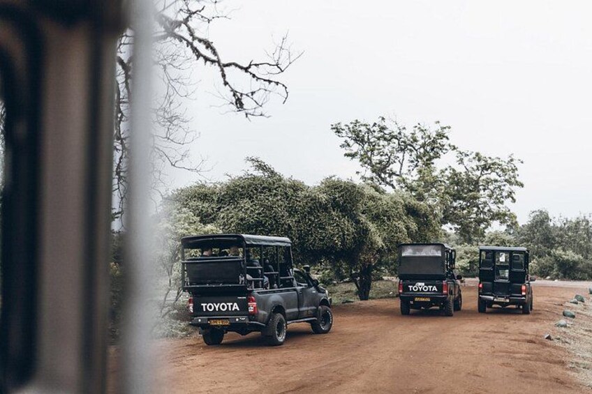 Morning game drive in Yala National Park 2
