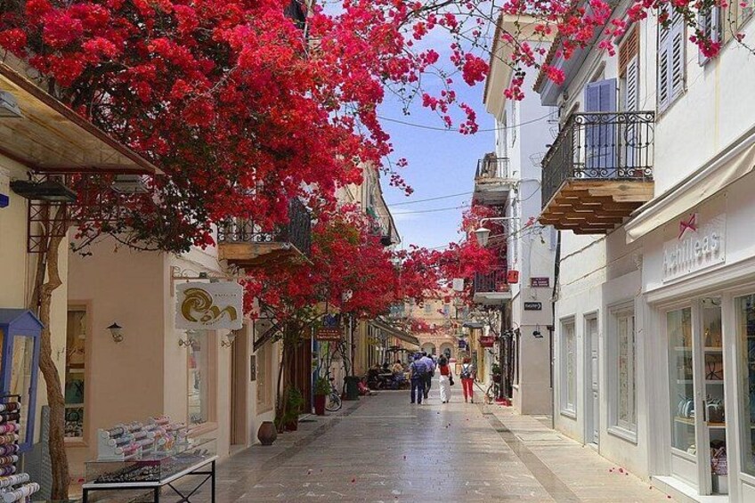 Argolis, Trip to Culture (Nafplio, Epidaurus, Mycenae) from Nafplio 4
