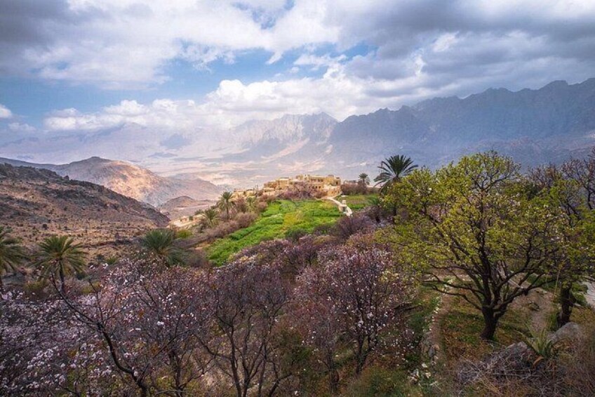 A mountainous landscape with blooming trees and a distant building. 1