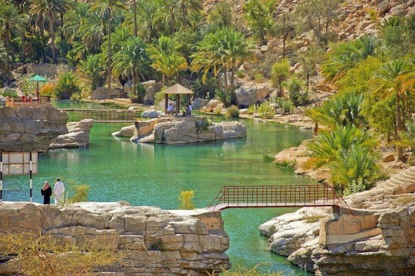 Paesaggio naturale con specchio d'acqua limpida, formazioni rocciose e palme. 4