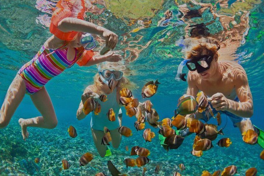 Dos personas haciendo snorkel bajo el agua con un banco de peces tropicales. 1