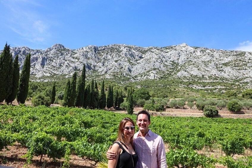 Vineyards, Gastronomy - the best of food & wine in Provence 2