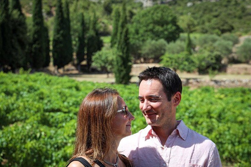 Vineyards, Gastronomy - the best of food & wine in Provence 3