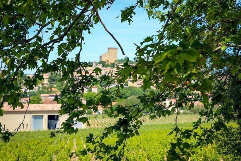 Châteauneuf Du Pape intensive vineyard & fine wine experience 1
