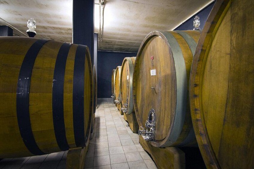 Truffle hunt and Barolo wine tasting 3