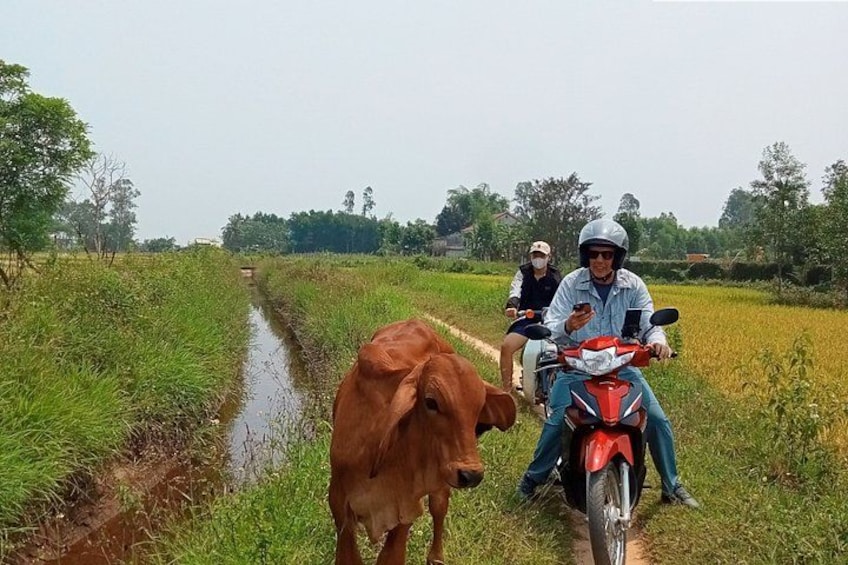 Hai Van Pass Back Roads Motorbike Tour with Mister T Easy Rider 3