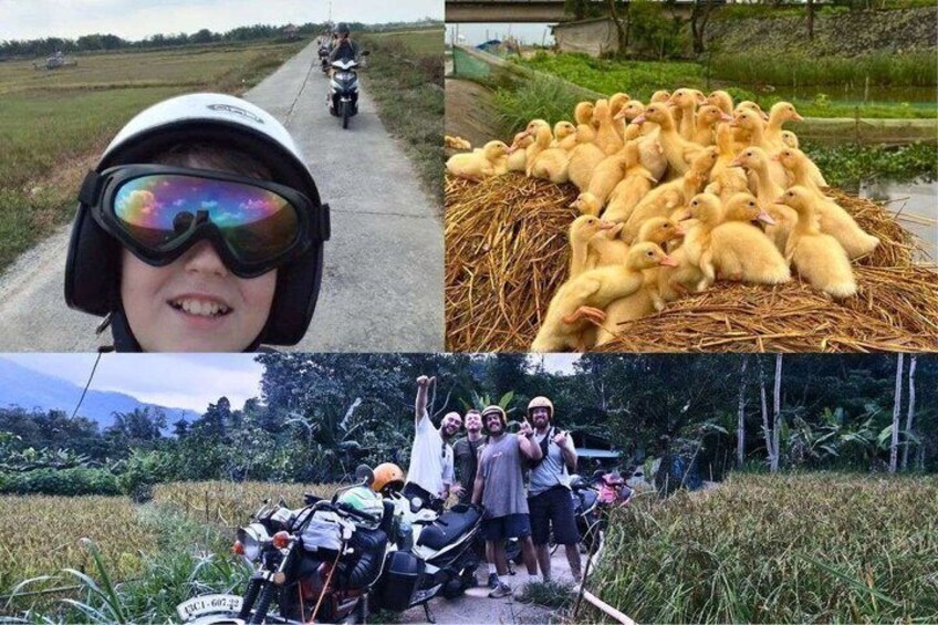 Hai Van Pass Motorbike Private Tour with Mister T Easy Rider 2