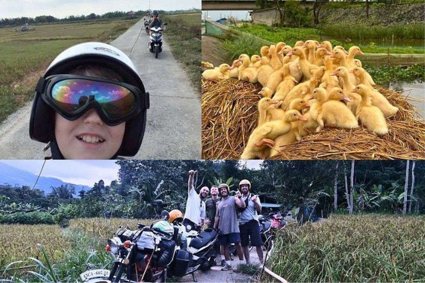 Hai Van Pass Motorbike Private Tour with Mister T Easy Rider 2
