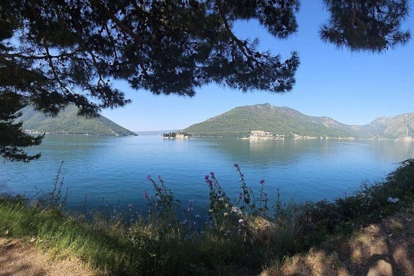 Un lago tranquillo con montagne sullo sfondo e un cielo sereno. 3