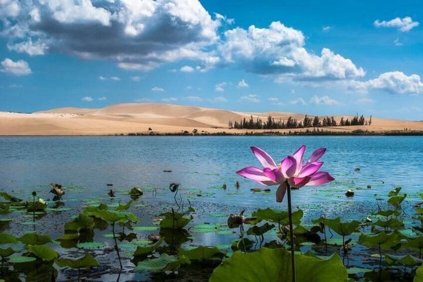 From Ho Chi Minh To Mui Ne Best Day Trip | Sunset Tour 2