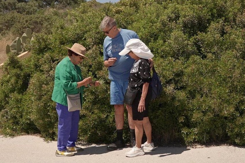 Tres personas están de pie al aire libre cerca de una zona con arbustos. 4