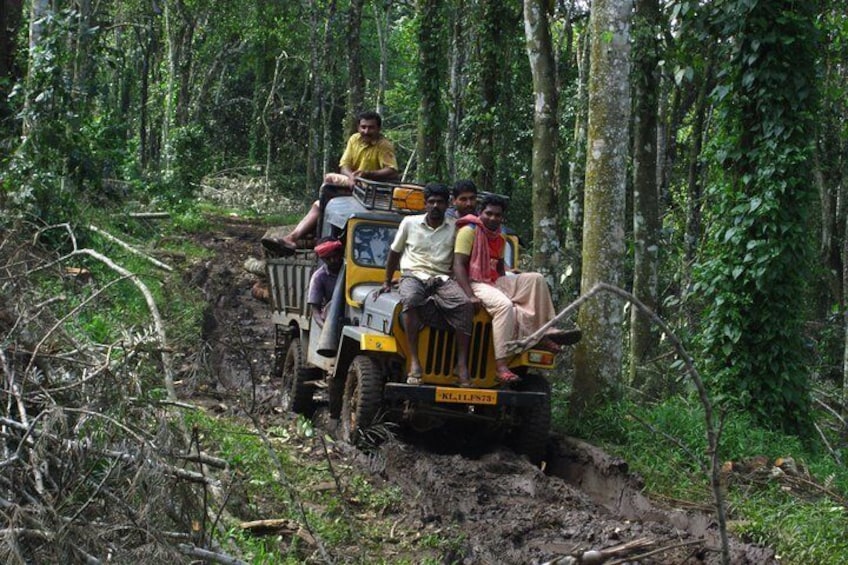 A yellow vehicle navigating a muddy forest trail with passengers. 3