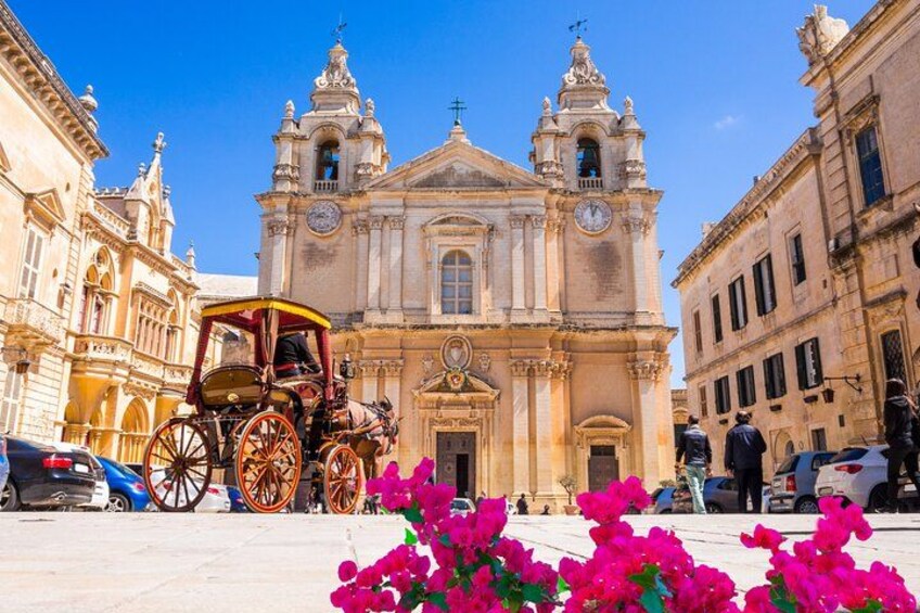 Private Driver to roam the island of Malta (VIP) 2