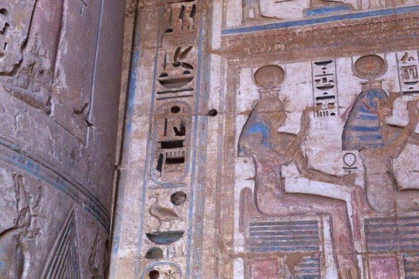 Private Half Day West Bank Tour to Valley of the Kings Queen Hatshepsut Temple and Colossi of Memnon 4