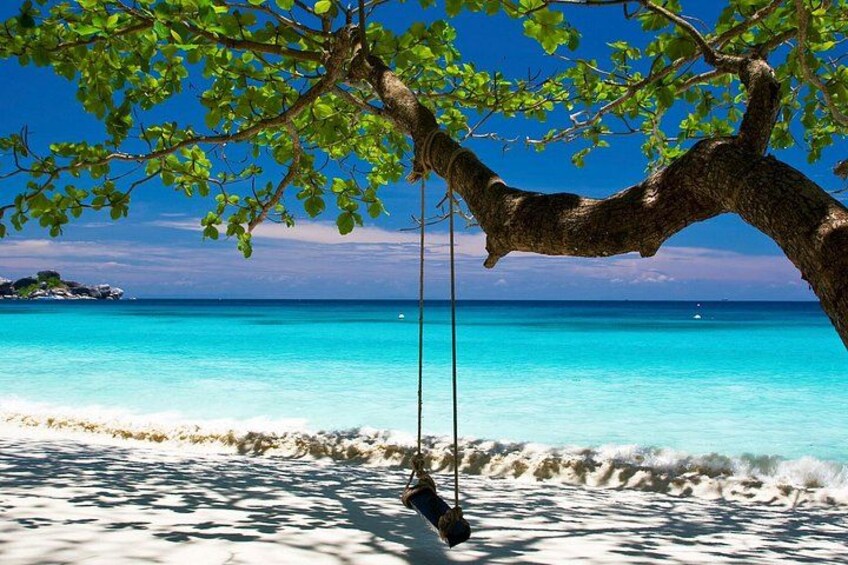 Similan Islands Snorkeling Day Tour from Phuket 5