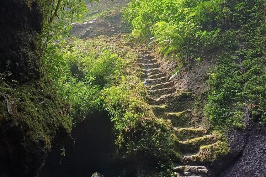 Jakarta Bogor Botanical Garden, Waterfall and Rice terrace, Lunch 4