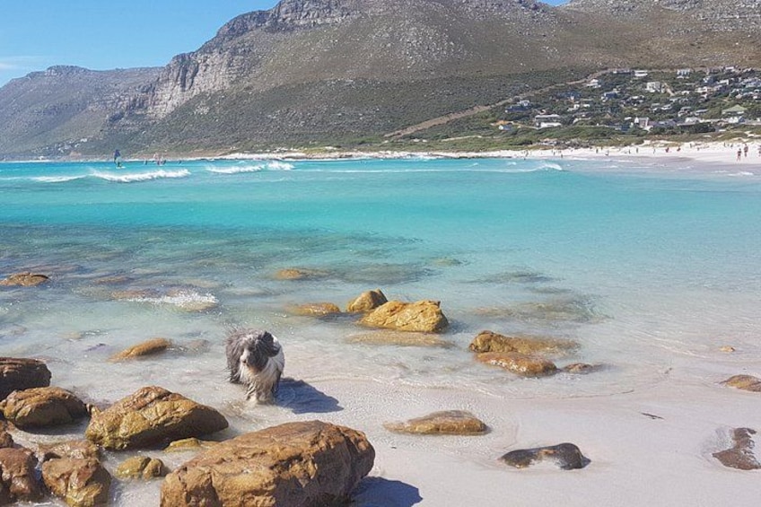 Una spiaggia con acque cristalline turchesi, grandi rocce e una montagna sullo sfondo. 1