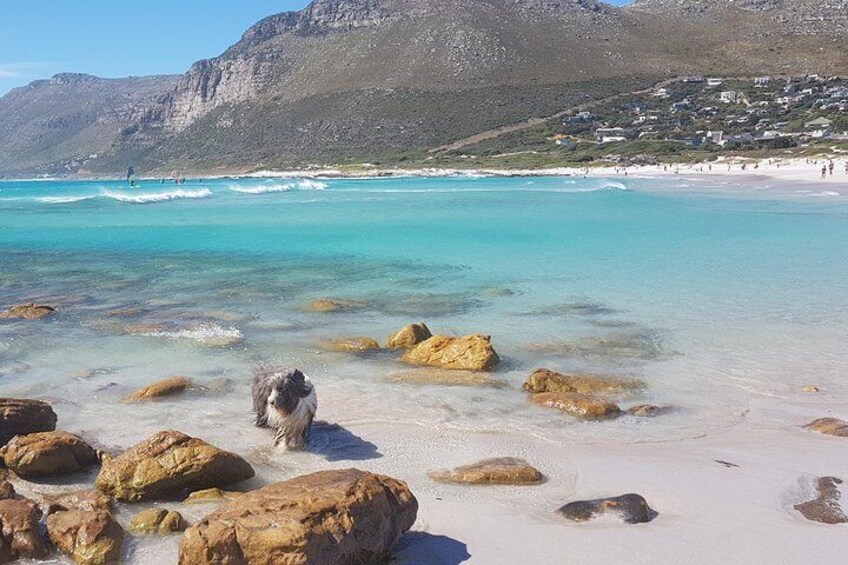 One of the secret beaches in Cape Town.
