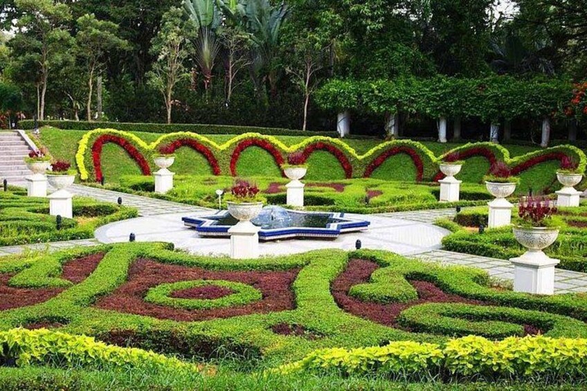 Botanical Garden 1