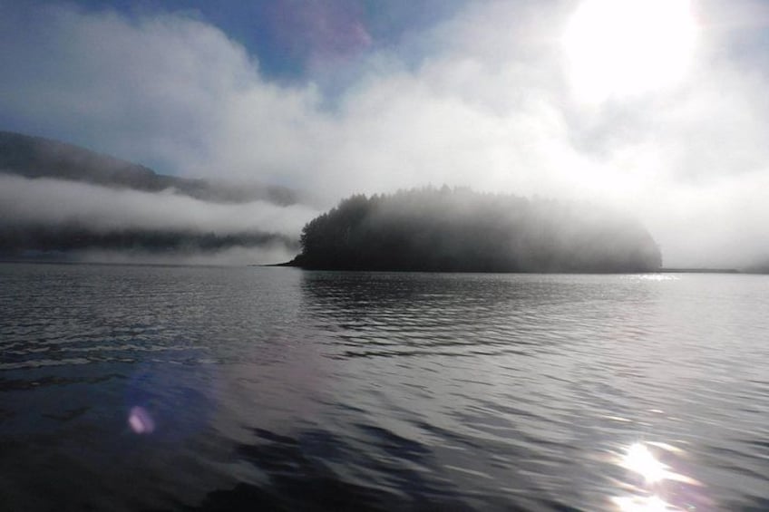Kayak Tours 2