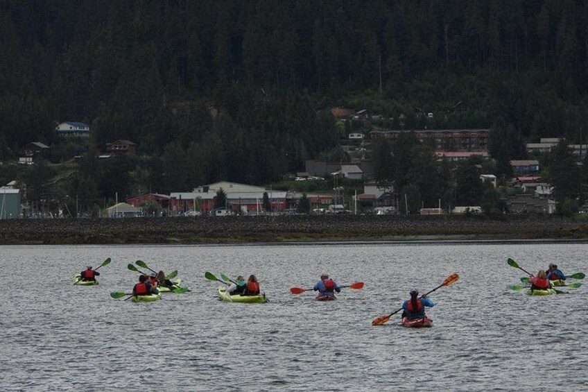 Kayak Tours 4