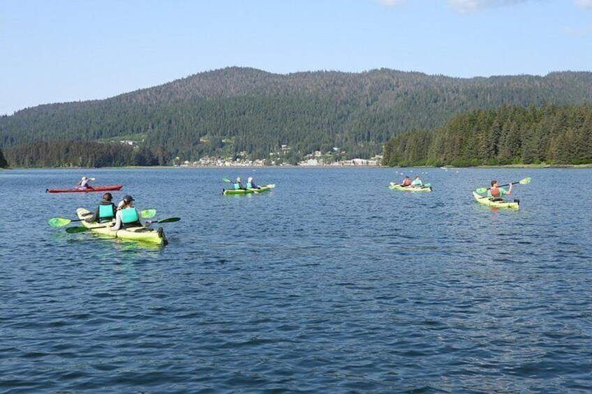 Kayak Tours 2