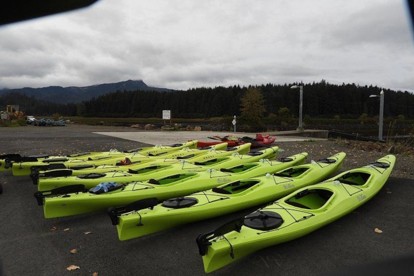 Kayak Tours 4