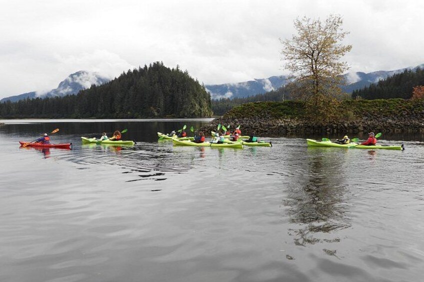 Un gruppo di kayakisti su un lago calmo, con montagne sullo sfondo. 2