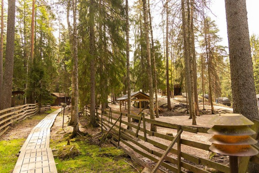 Northern Elegance: Private Reindeer Safari & Fireside Picnic***** 1