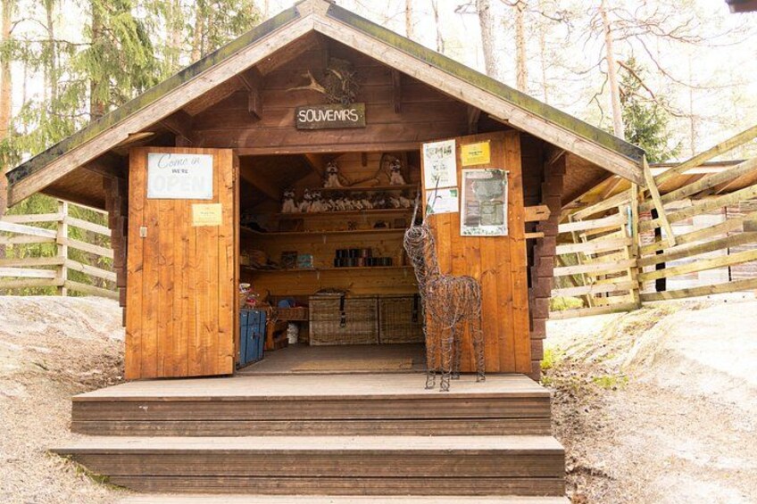 Northern Elegance: Private Reindeer Safari & Fireside Picnic***** 5