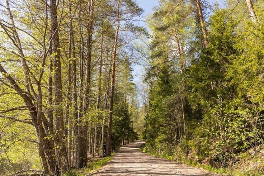 Northern Elegance: Private Reindeer Safari & Fireside Picnic***** 5