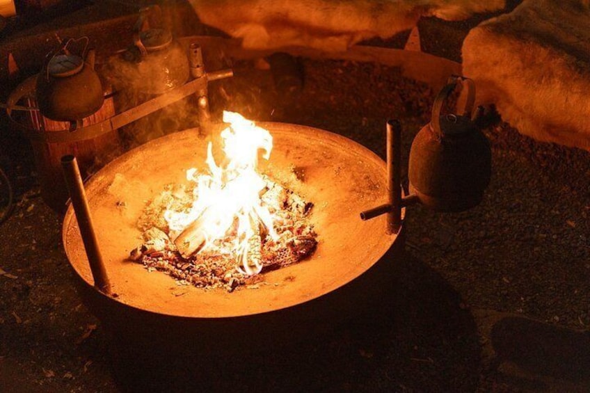 Northern Elegance: Private Reindeer Safari & Fireside Picnic***** 5
