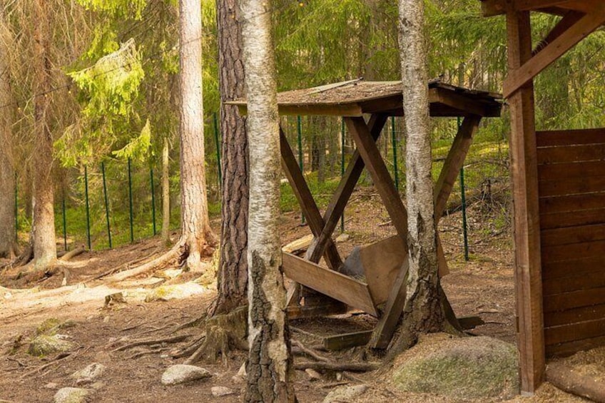 Northern Elegance: Private Reindeer Safari & Fireside Picnic***** 3