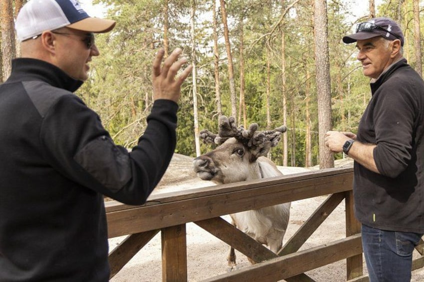 Helsinki Private Luxury Tour: VIP Car & Tailor-Made Itinerary 5