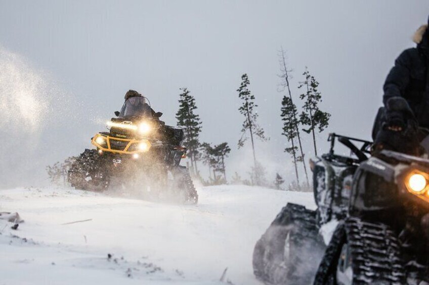 Una moto de nieve en movimiento, levantando nieve, con un bosque de fondo. 1