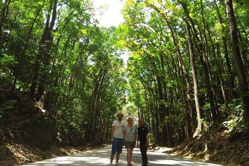 Bohol Chocolate hills and Waterfalls Ecotour 5