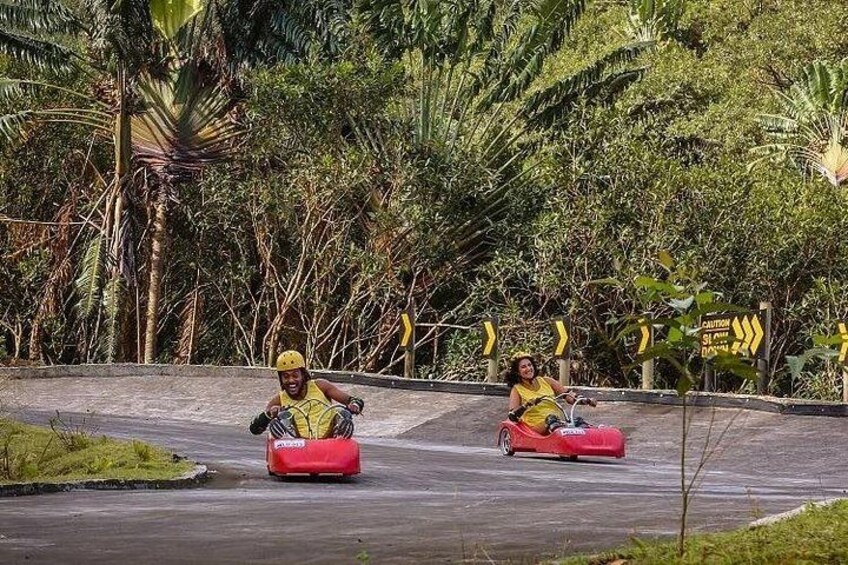 Luge Kart (Optional) 4